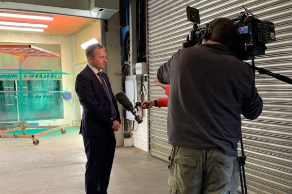 BBC and the Acres Poppy Campaign