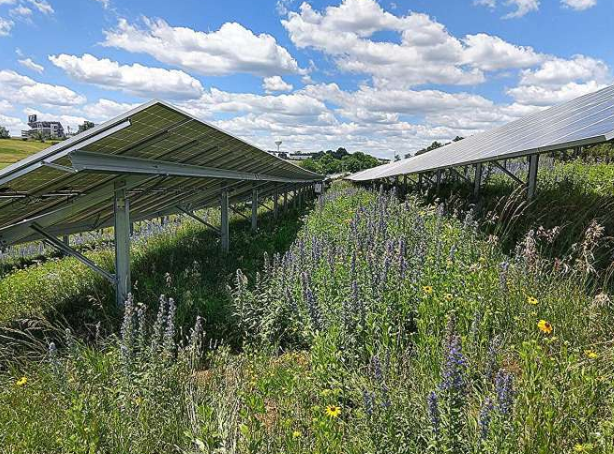 Solar farms with stormwater controls mitigate runoff and erosion, study finds